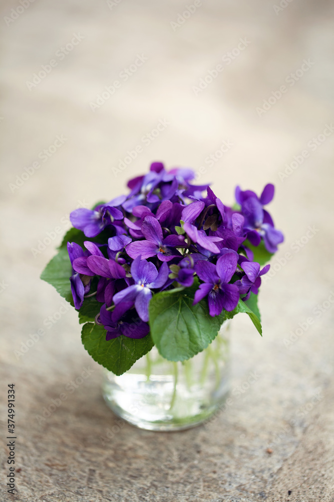 Close-up of little glass jar filled with water with a tiny violets bouquet in it Close-up of little glass jar filled with water with a tiny violets bouquet in it
