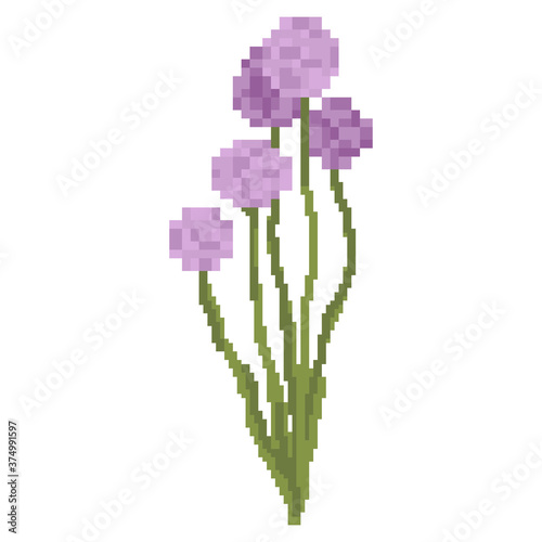 Allium flower isolated vector pixel art