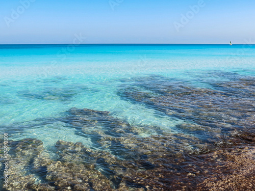 Fototapeta Naklejka Na Ścianę i Meble -  coral reef and blue sky