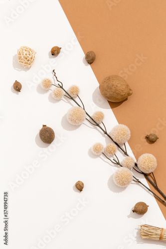 Autumn herbarium flowers. Fall minimal concept. Still life beige colours trend