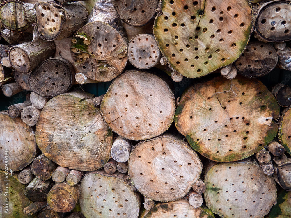 background of dried wood texture background of dried wood texture