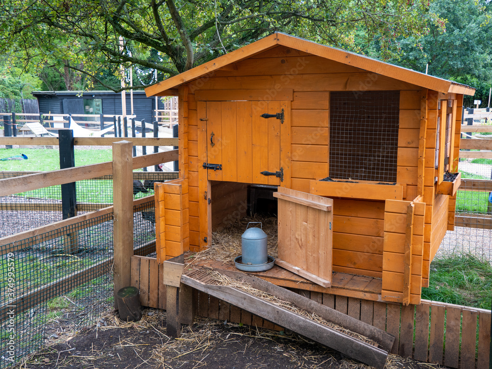 Obraz premium wooden house at the farm
