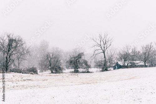 Wallpaper Mural Old-fashioned farm with green barn in the snow Torontodigital.ca