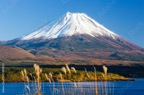Japan, Central Honshu (Chubu), Fuji-Hakone-Izu National Park, Mount Fuji (3776m) snow capped and viewed across lake Motosu-ko in the Fuji Go-ko (five lakes) region