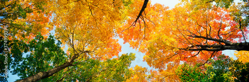 United States of America, Vermont, Fall colours near Woodstock photo