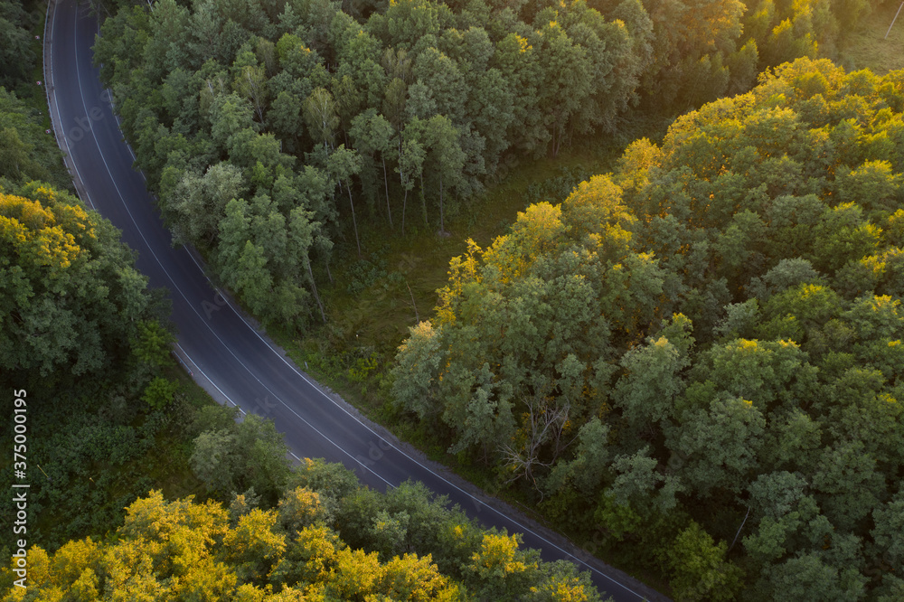 Aerial view of the morning forest with a paved road.