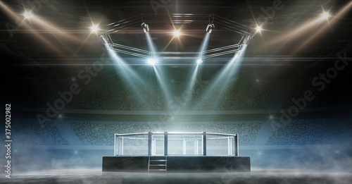 MMA cage night. Fighting Championship. Fight night. 3D render MMA arena. View of the arena by spotlights. Full tribune