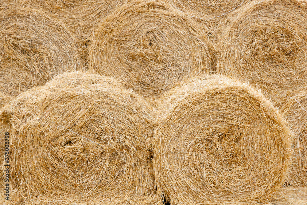 Hay and straw bales in the end of summer. Agriculture concept Hay and straw bales in the end of summer. Agriculture concept