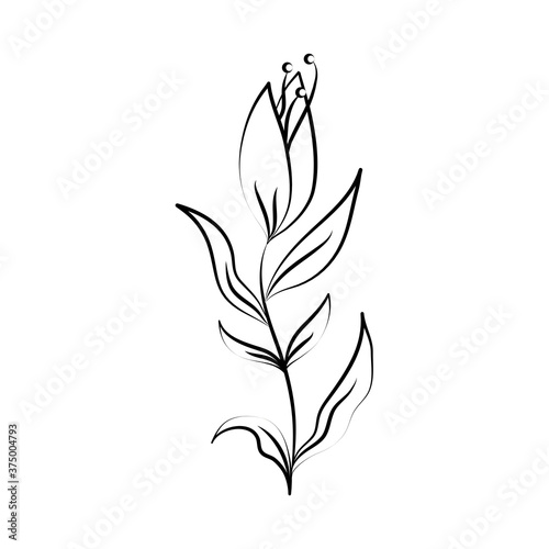 minimalist tattoo flower nature botanical line art herb and leaves