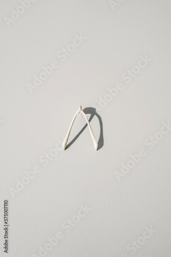 Collection of Superstitious Wishes, Bird Wishbones