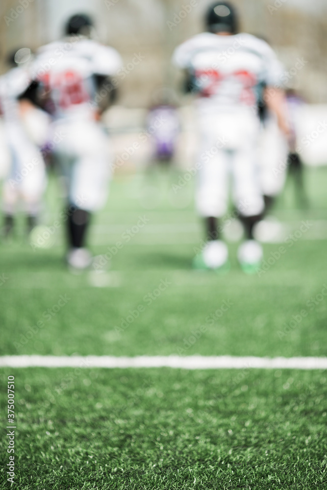 players on the field