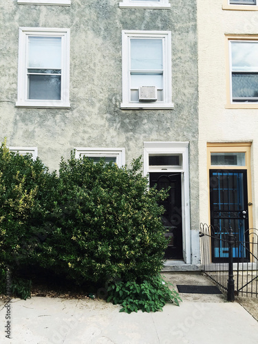 Overgrown shrub hides windows of rowhome photo