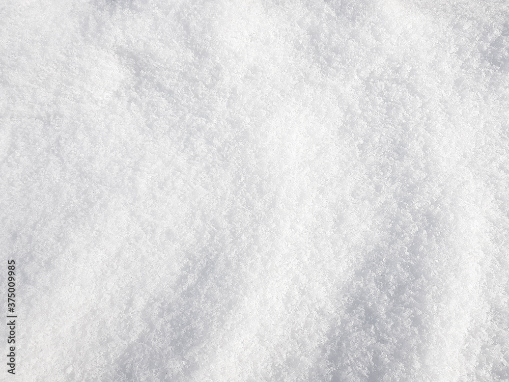 Fototapeta premium Snow texture background