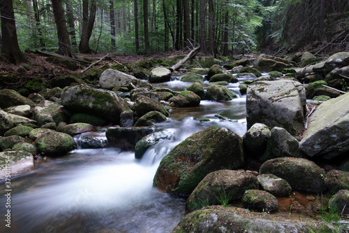 Wallpaper Mural small waterfall in the forest Torontodigital.ca