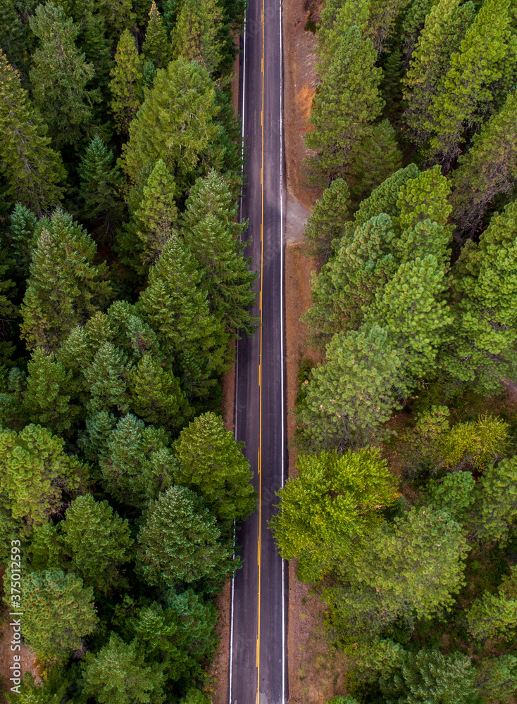 aerial view of a road