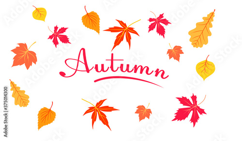Stock vector illustration Hello Autumn falling leaves. Autumn foliage is falling. Autumn design. Templates for posters, banners, flyers, presentations, reports.