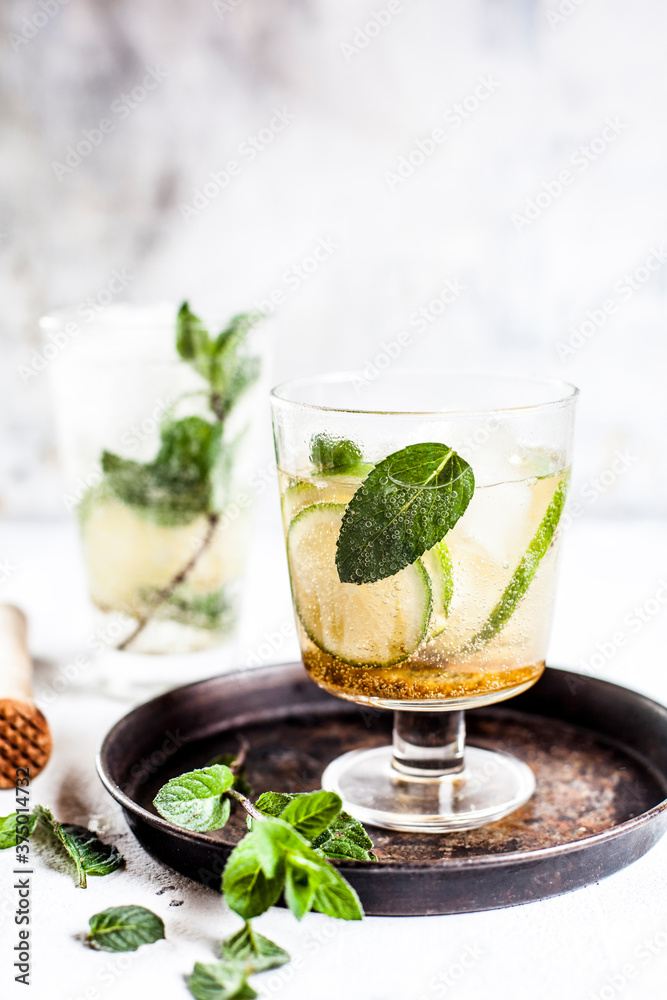 Mojito Cocktail Mojito Cocktail