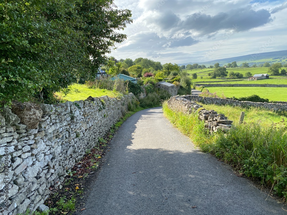 Country lane, with a dry stone wall, wild plants, farms, fields and meadows, in the distance in, West Witton, Leyburn, UK 