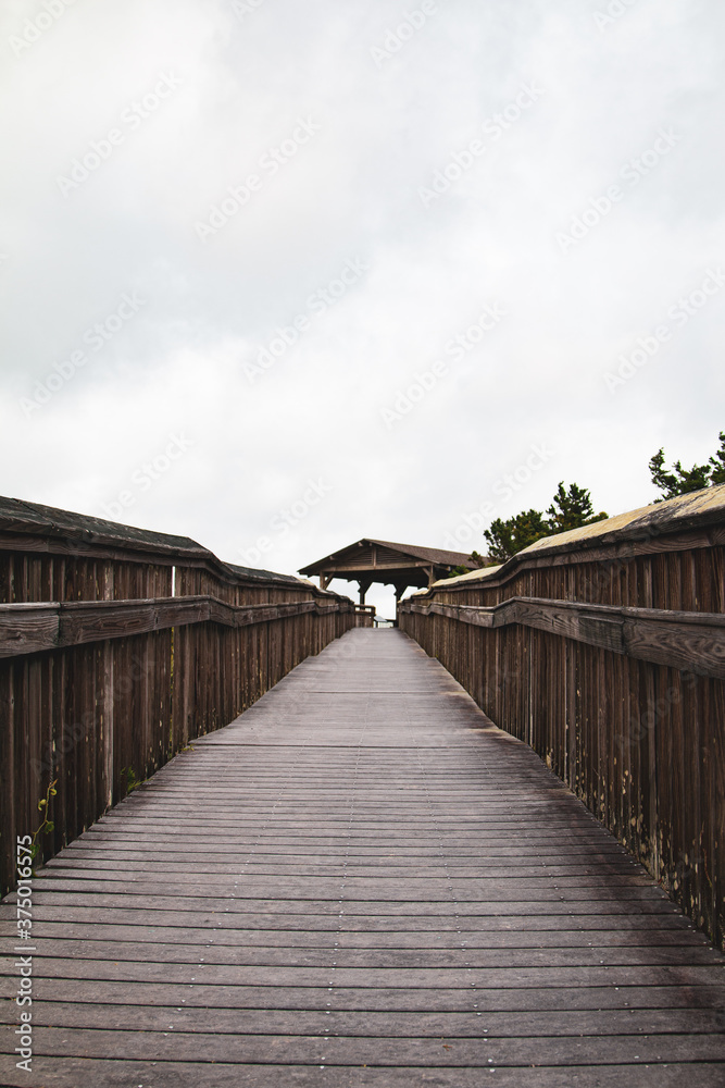 Obraz premium Boardwalk