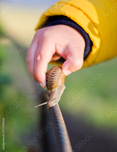 Little boy catching a snail photo