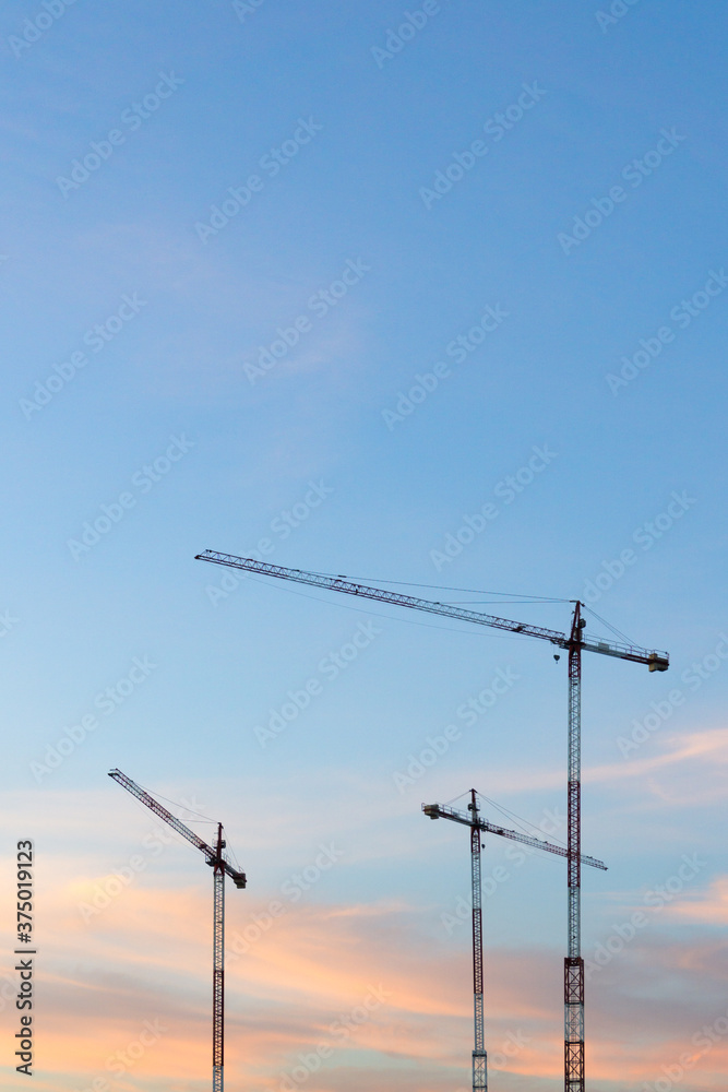 Cranes of a construction site at sunset Cranes of a construction site at sunset