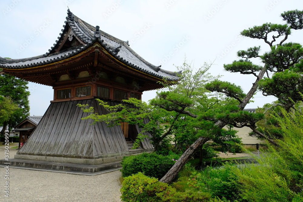 Nara Japan - Nara Park landscaped park with ancient temples