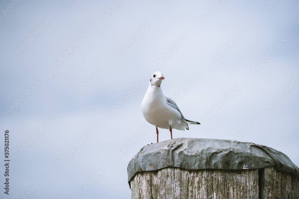 an der Nordsee an der Nordsee