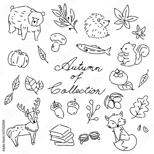 秋　イラスト　セット
