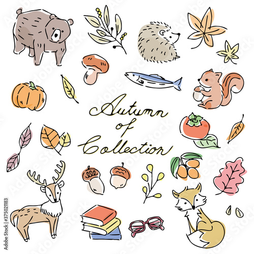 秋　イラスト　セット