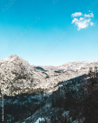 mountain and forest