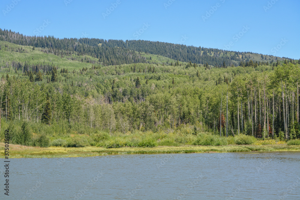 The peaceful Freeman Reservoir  below the mountainside of the Routt National Forests. In the Rocky mountains of Colorado