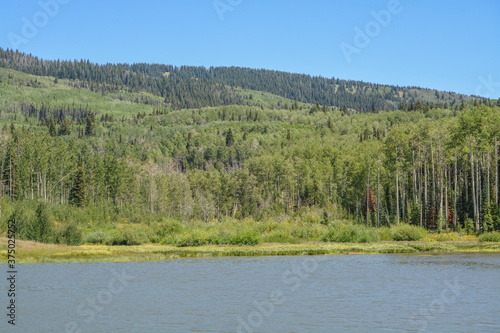 The peaceful Freeman Reservoir  below the mountainside of the Routt National Forests. In the Rocky mountains of Colorado