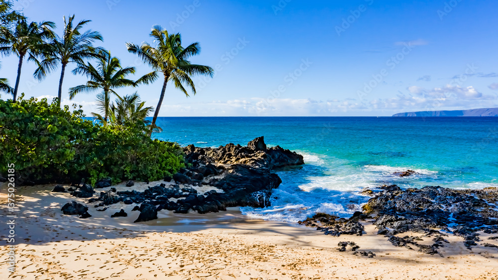 tropical beach with palm trees tropical beach with palm trees