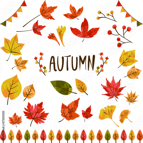 秋の紅葉イラスト集