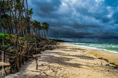 Fototapeta Naklejka Na Ścianę i Meble -  lonely, wild and pristine beach on the Baltic Sea