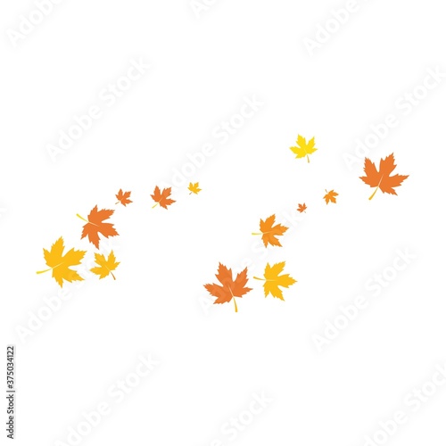 autumn Leaf background