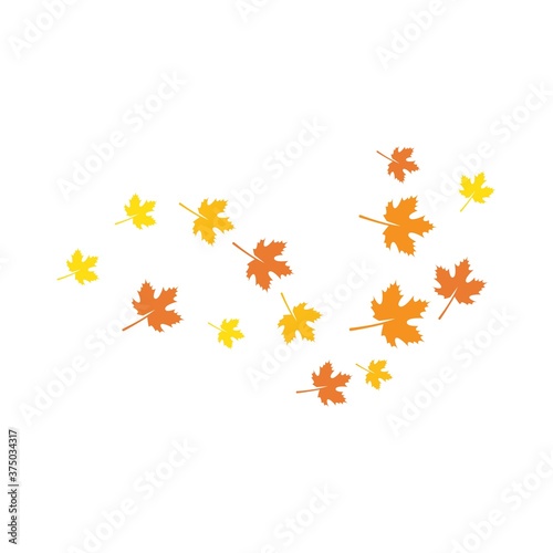 autumn Leaf background