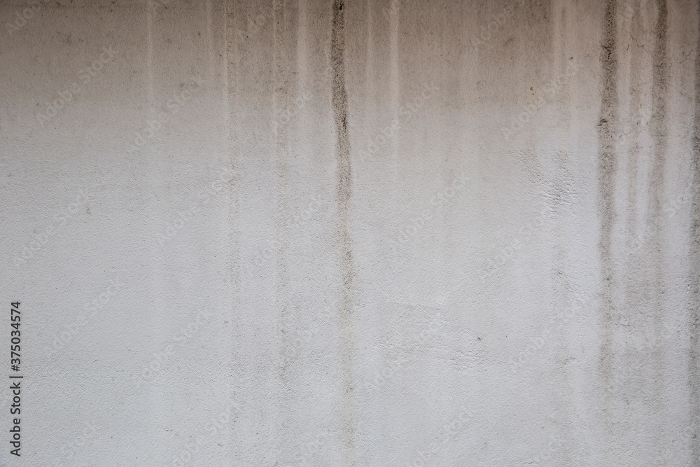 grunge old white wall
grunge old white wall