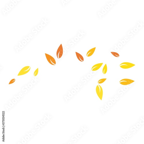autumn Leaf background