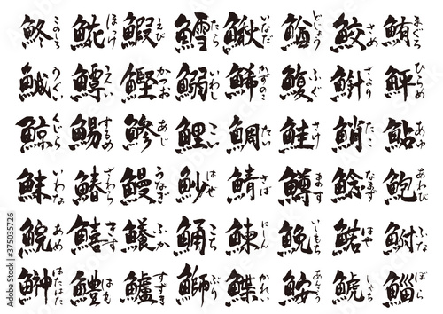 魚の名前の筆文字1