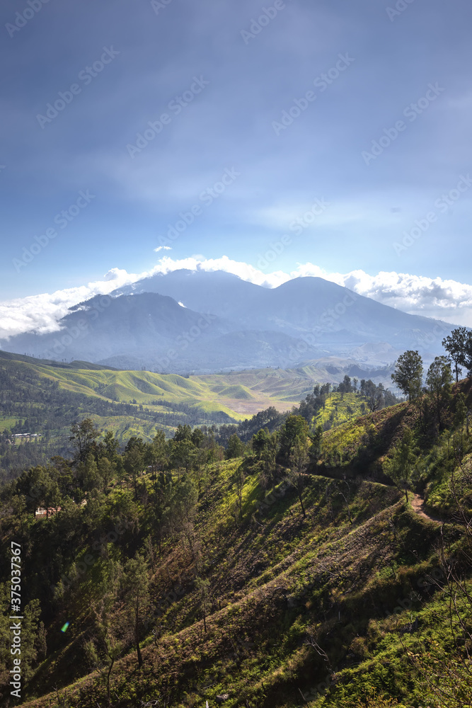 View from the caldera Kawah Ijen volcano near Bondowoso to the nearest old volcanic cone - Baluran National Park, Java Island, Indonesia