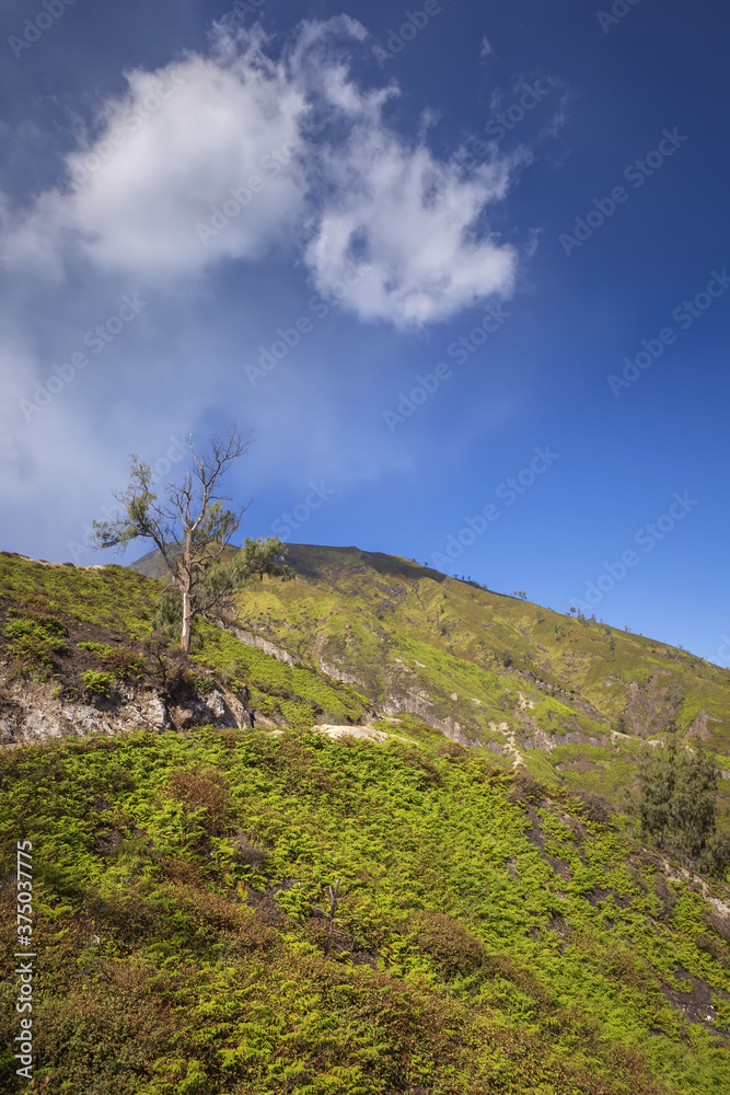 View from the caldera Kawah Ijen volcano near Bondowoso to the nearest old volcanic cone - Baluran National Park, Java Island, Indonesia