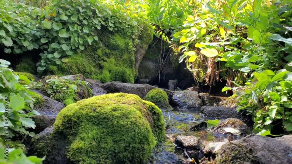 small serene stream small serene stream