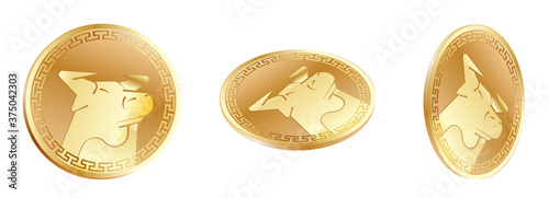 Bull, ox symbol of 2021 new year on gold coin. Good luck, success and wealth in new year. Talisman for money according to the Chinese calendar. Vector on white background