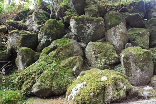 Quadro em tela 苔むした岩の古い石垣/Old stone wall with mossy rock