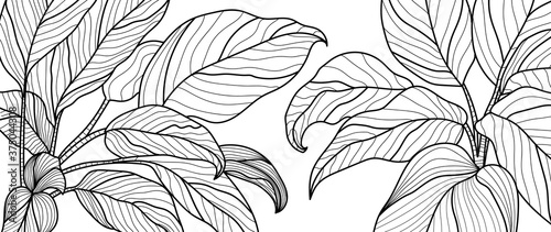 Luxury black and white art deco wallpaper. Nature background  with  with compositions of hand drawn tropical flowers, Plants, paradise bouquet. Vector illustration.