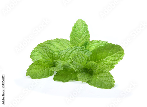 Fresh spearmint leaves isolated on the white background. Mint, peppermint close up