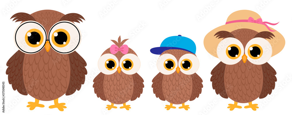 Set cute owl family vector illustration Set cute owl family vector illustration