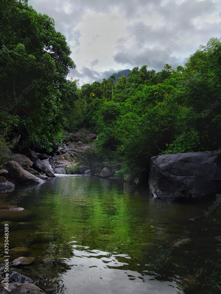 river in the forest