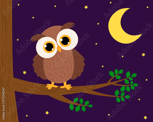 Cute owl sitting on a tree branch leaves night moon stars vector illustration